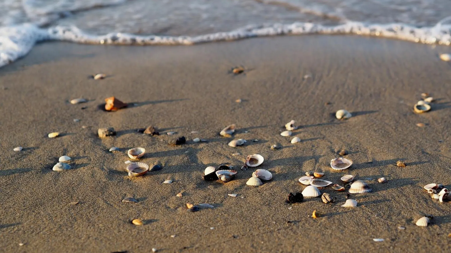 Welcoming Accommodation In Bibione - Beahost Apartment