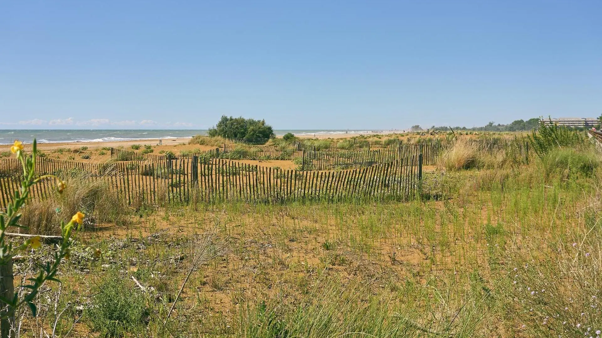 Apartment Welcoming Accommodation In Bibione - Beahost